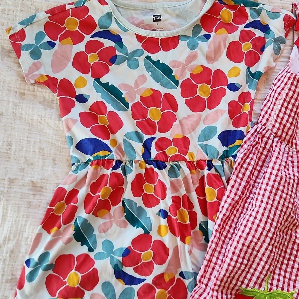 2 Girl's Summer Dresses Size 5, Strawberry Gingham And Floral. - Picture 2 of 4